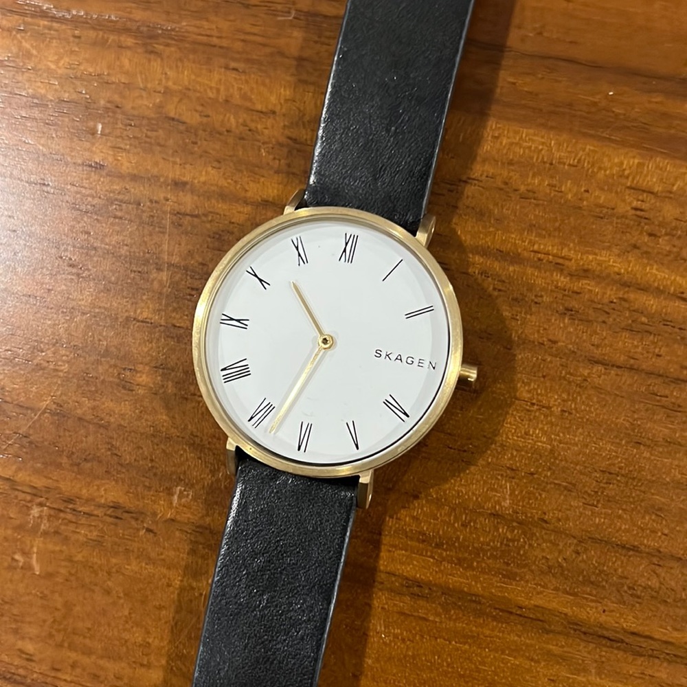 Skagen Watch skw2678